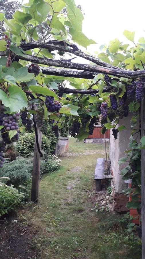 Idilliska Latgaliesu Lauku Maja Ar Melno Pirti Villa Aglona Ngoại thất bức ảnh