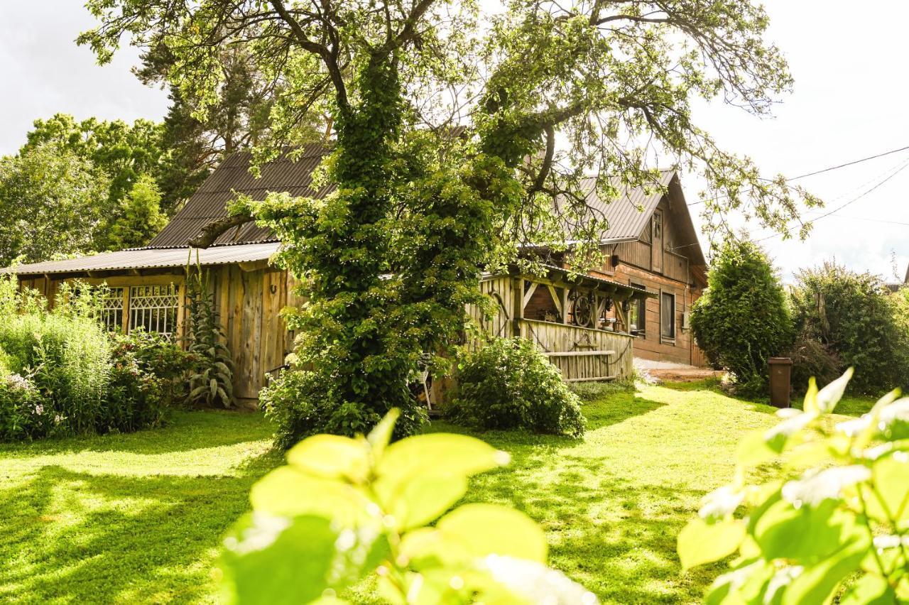 Idilliska Latgaliesu Lauku Maja Ar Melno Pirti Villa Aglona Ngoại thất bức ảnh